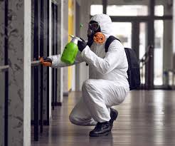 Mold Odor Removal Services in Lake Crystal, MN